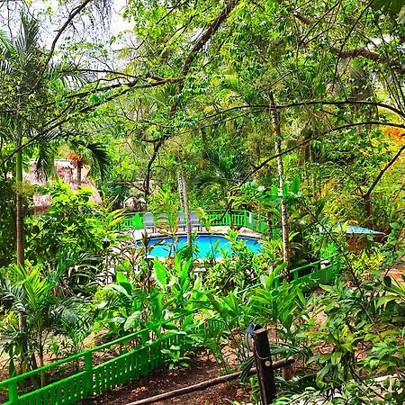 Maya Mountain Lodge San Ignacio Εξωτερικό φωτογραφία
