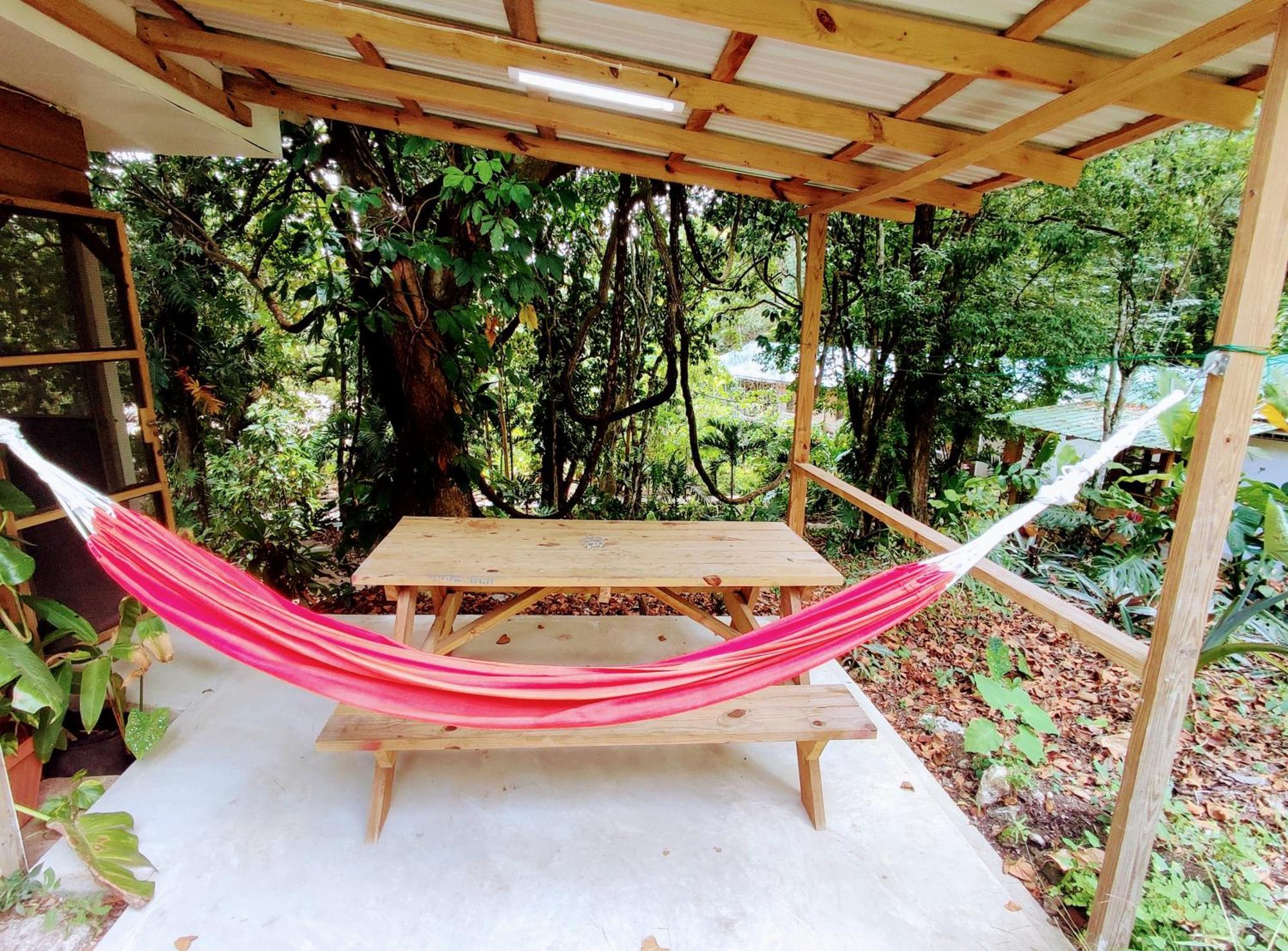 Maya Mountain Lodge San Ignacio Εξωτερικό φωτογραφία