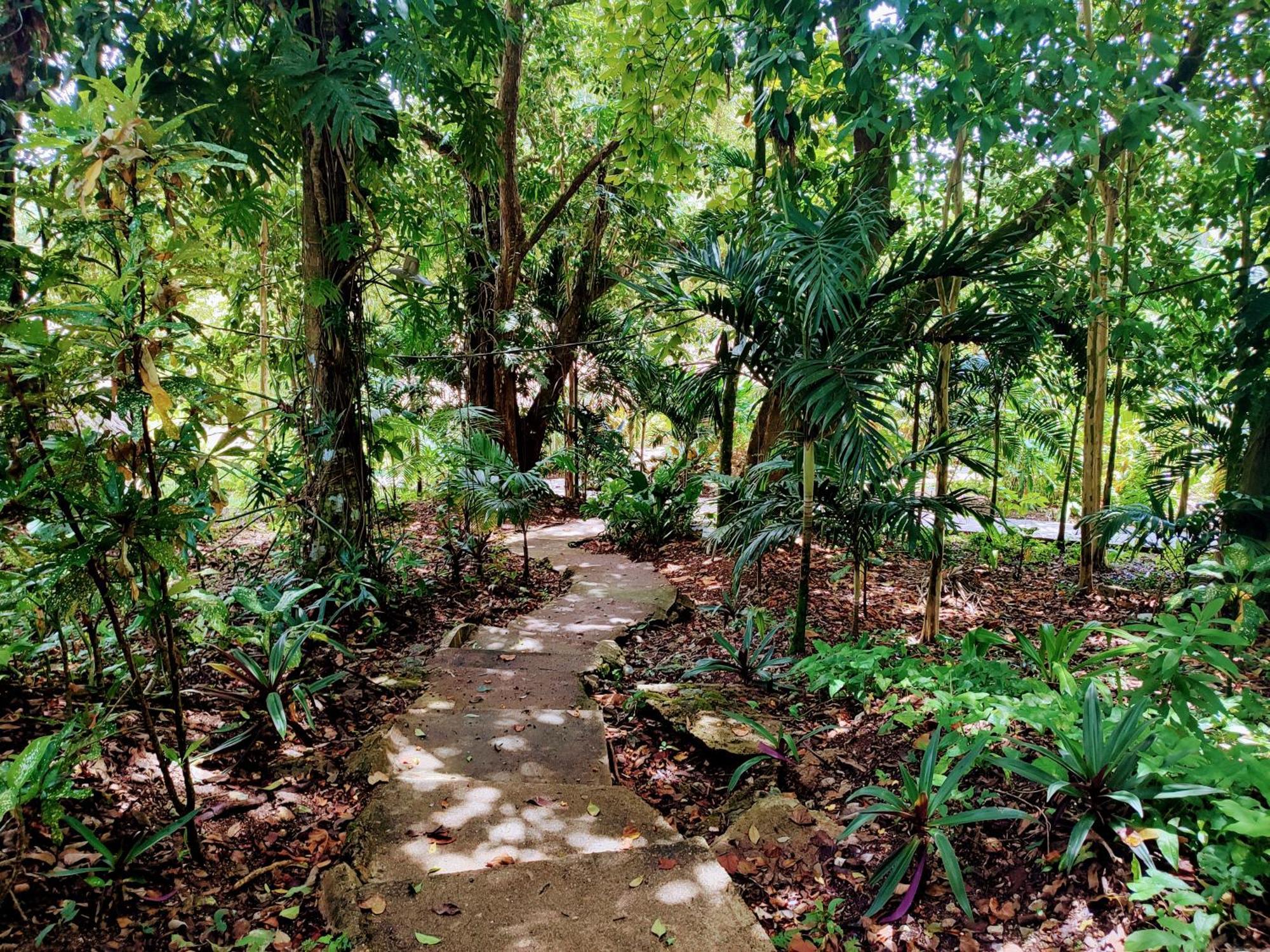 Maya Mountain Lodge San Ignacio Εξωτερικό φωτογραφία