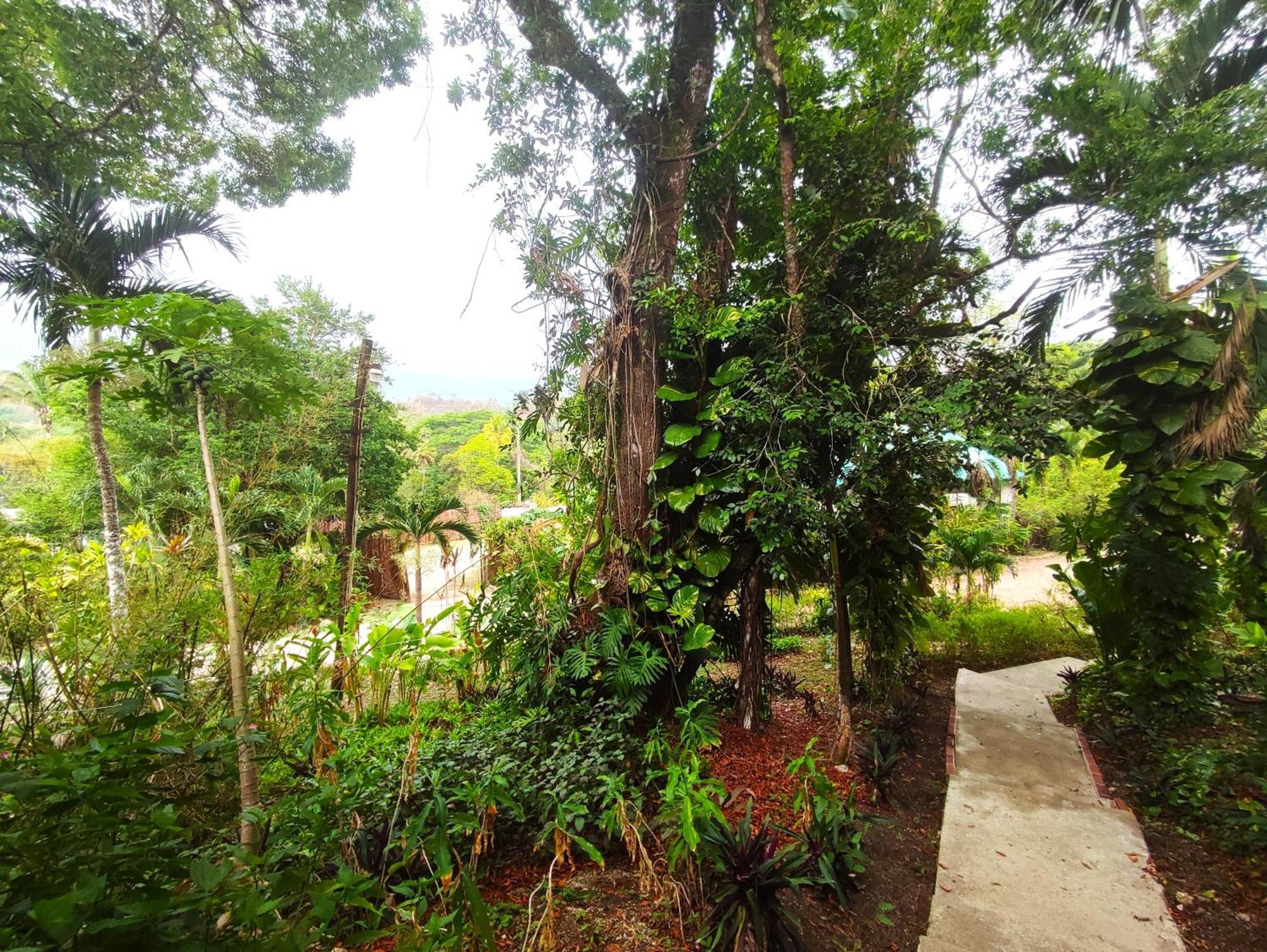 Maya Mountain Lodge San Ignacio Εξωτερικό φωτογραφία