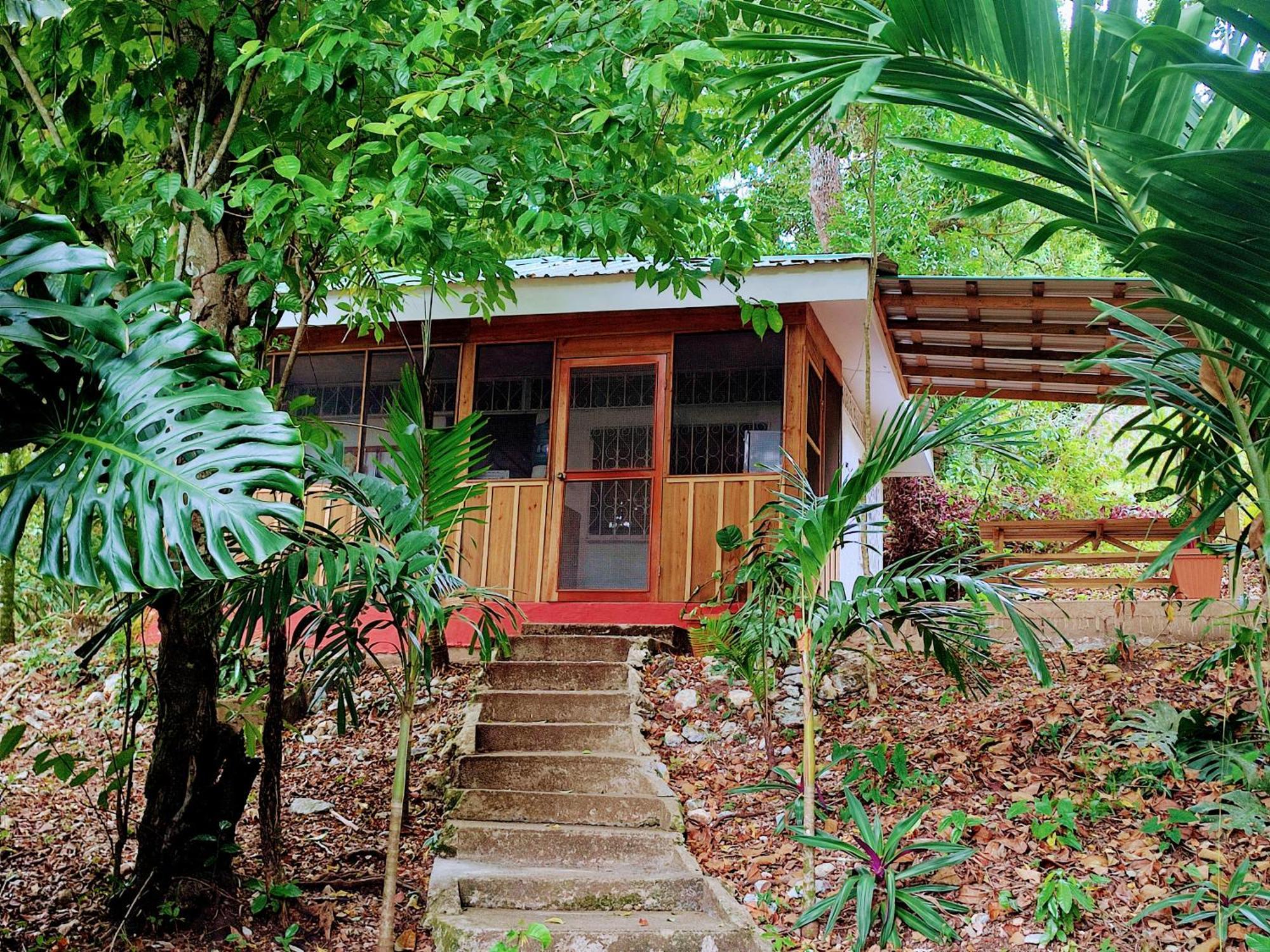 Maya Mountain Lodge San Ignacio Εξωτερικό φωτογραφία