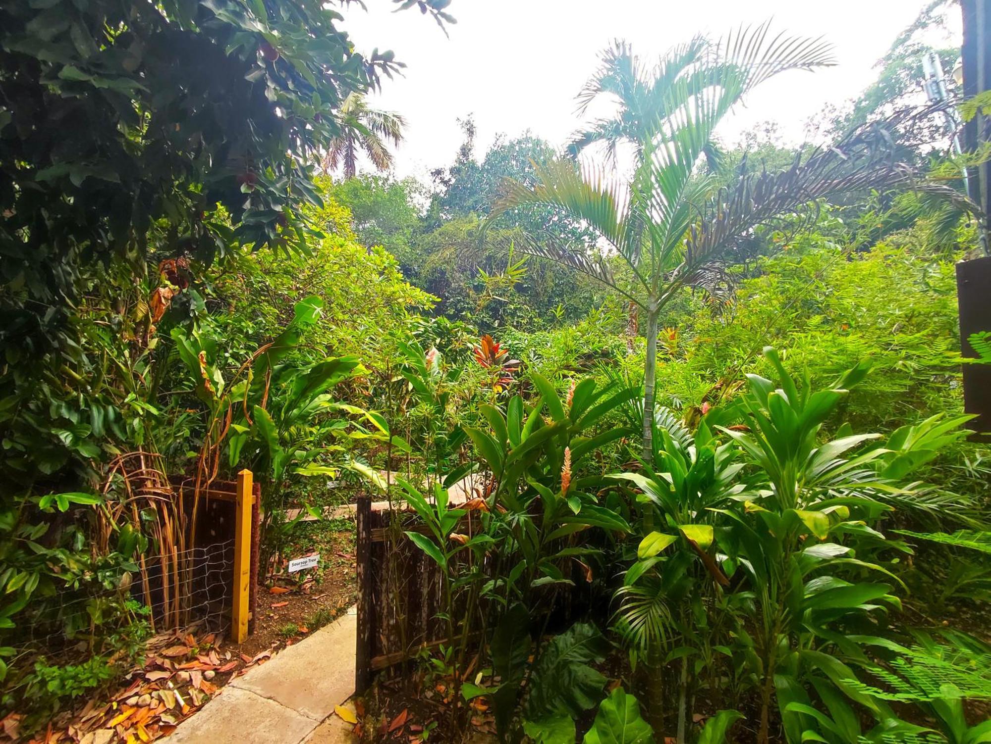 Maya Mountain Lodge San Ignacio Εξωτερικό φωτογραφία