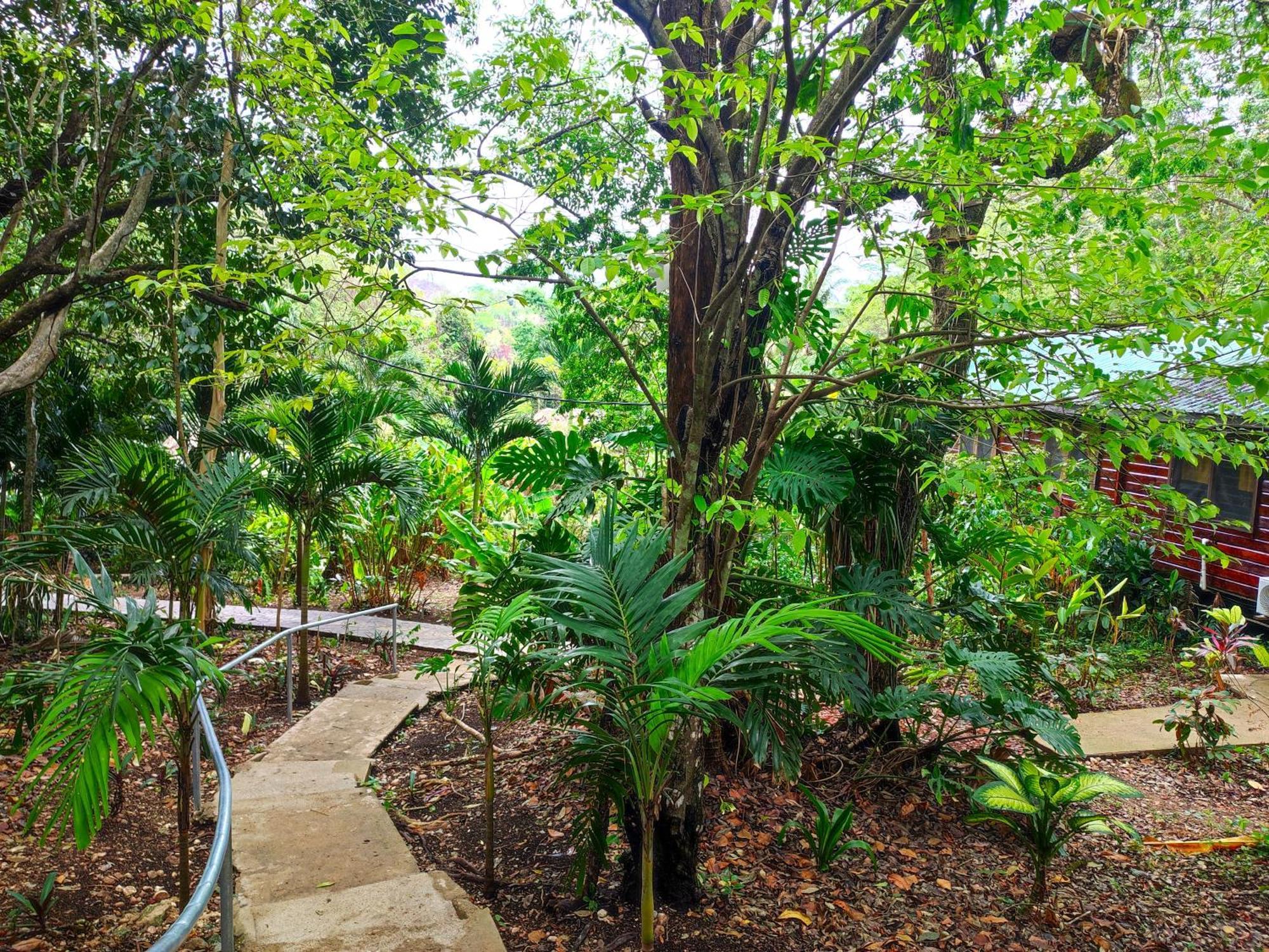 Maya Mountain Lodge San Ignacio Εξωτερικό φωτογραφία