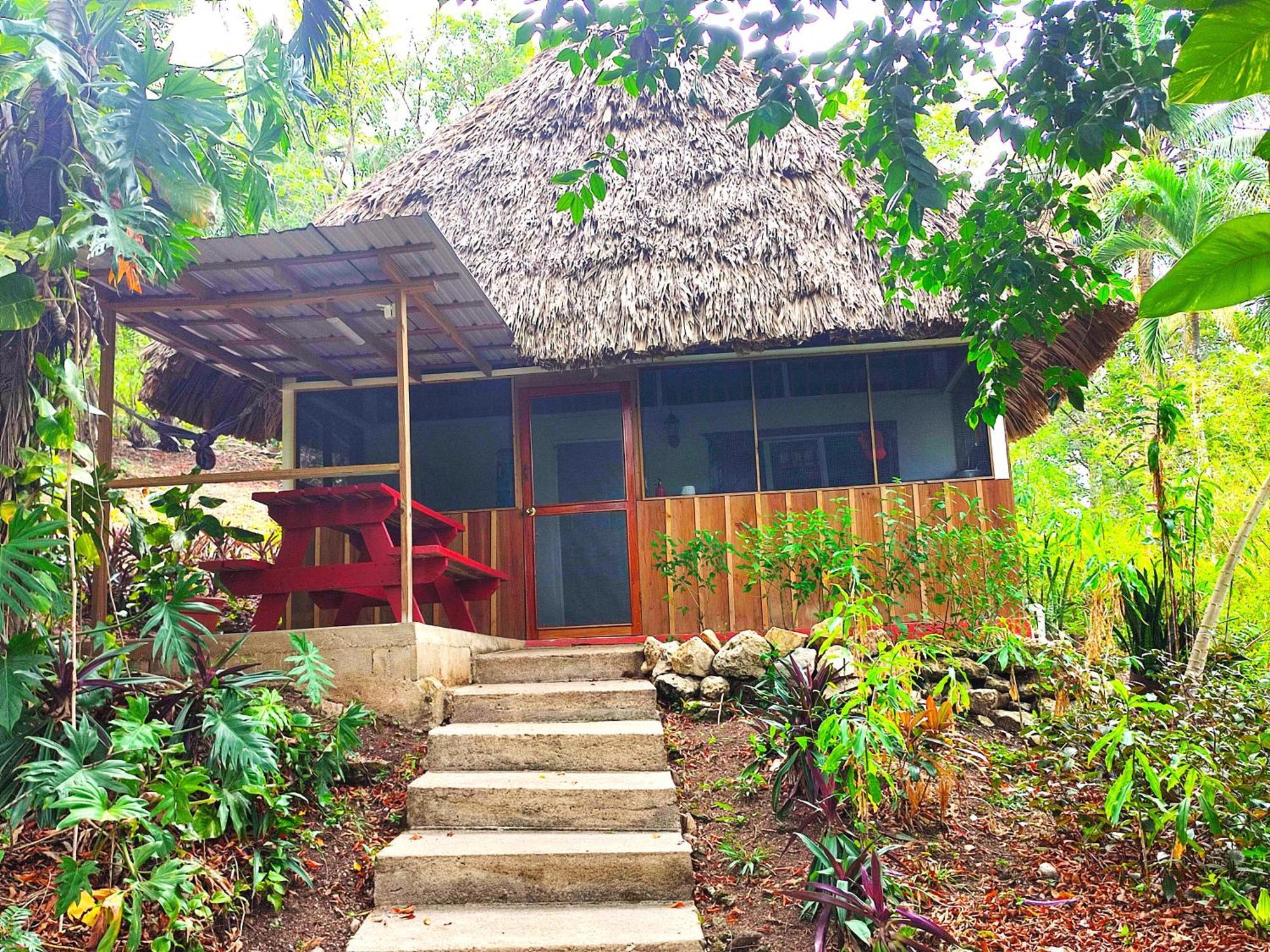 Maya Mountain Lodge San Ignacio Εξωτερικό φωτογραφία