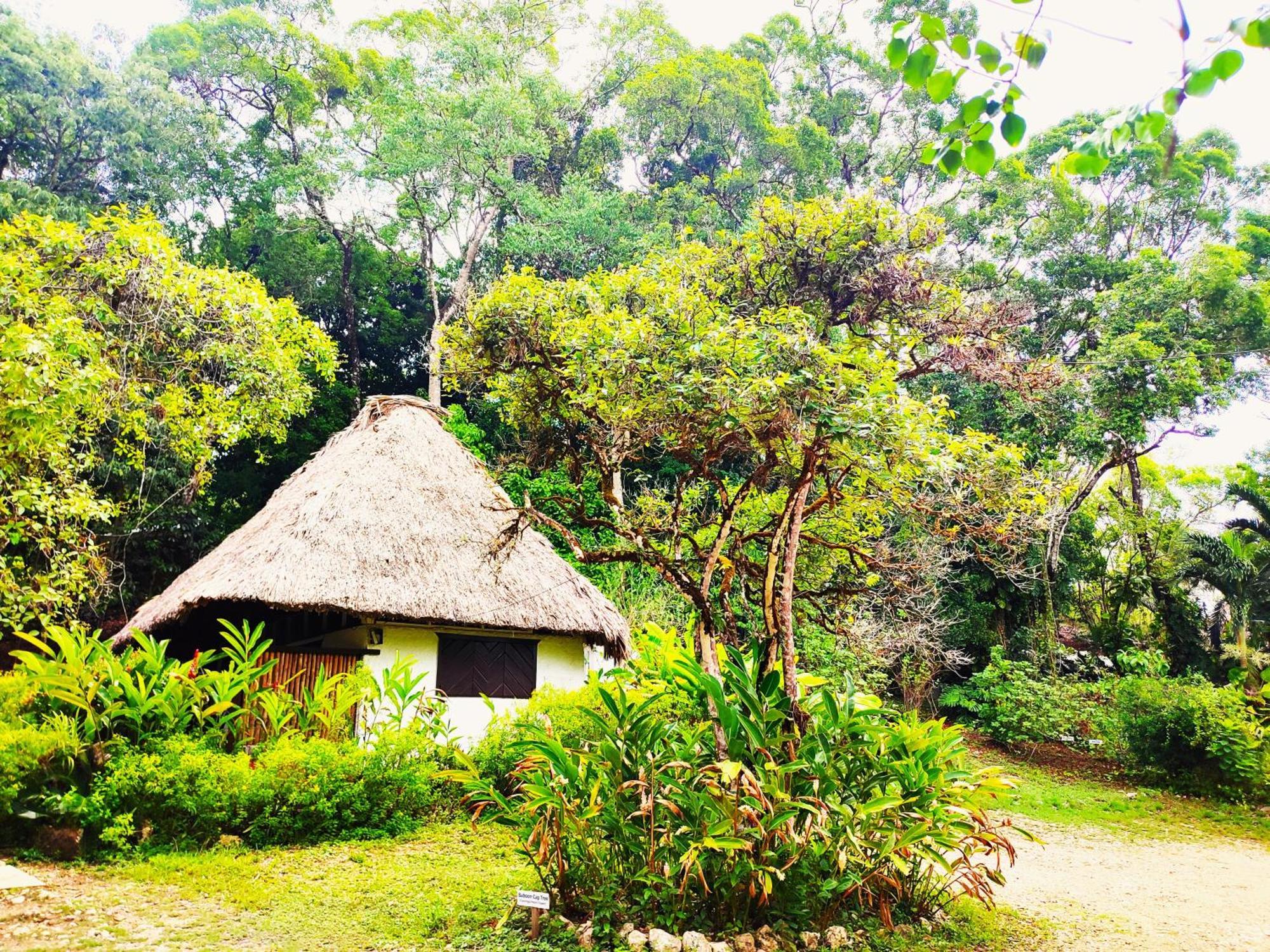 Maya Mountain Lodge San Ignacio Εξωτερικό φωτογραφία