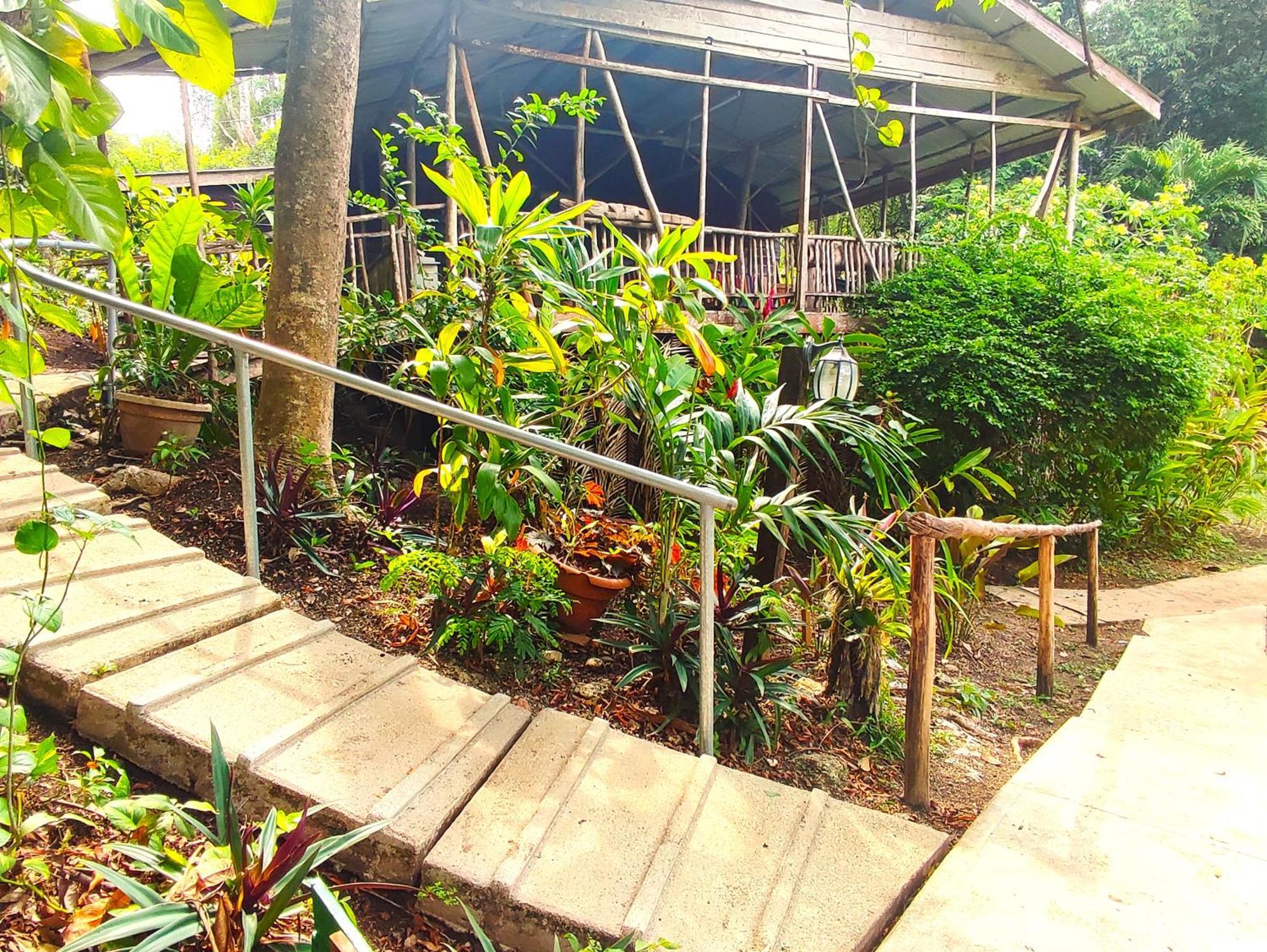 Maya Mountain Lodge San Ignacio Εξωτερικό φωτογραφία