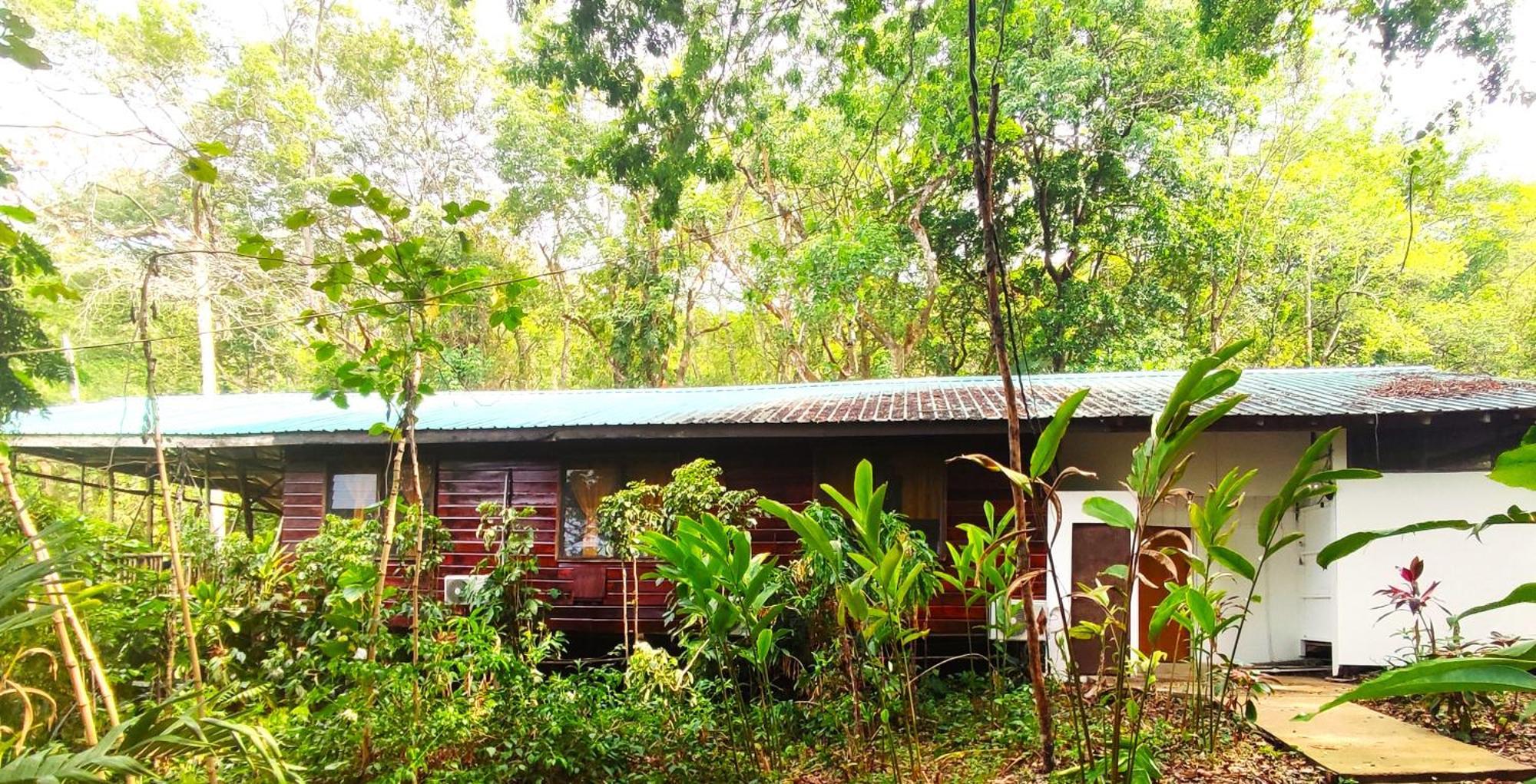 Maya Mountain Lodge San Ignacio Εξωτερικό φωτογραφία