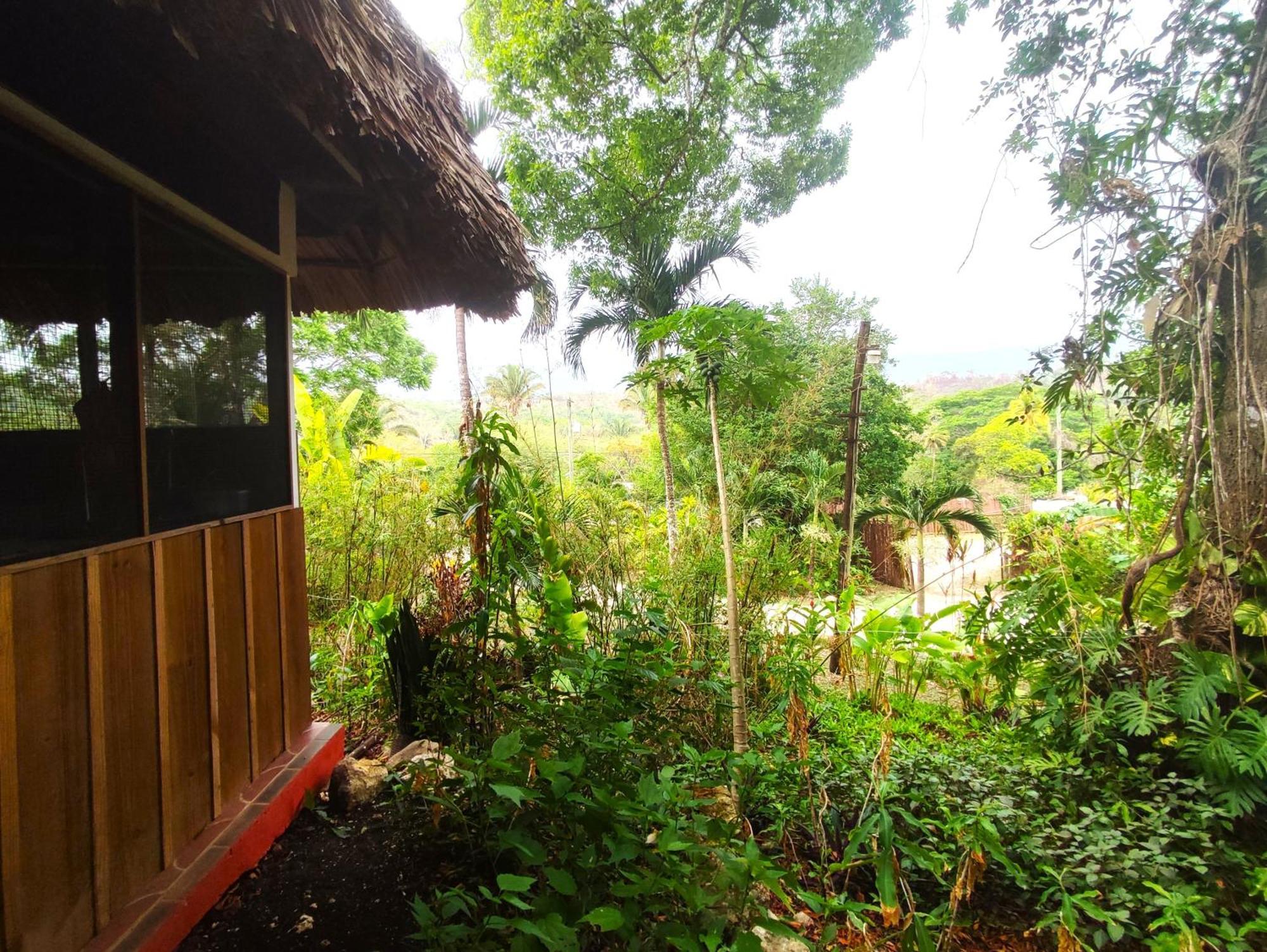 Maya Mountain Lodge San Ignacio Εξωτερικό φωτογραφία