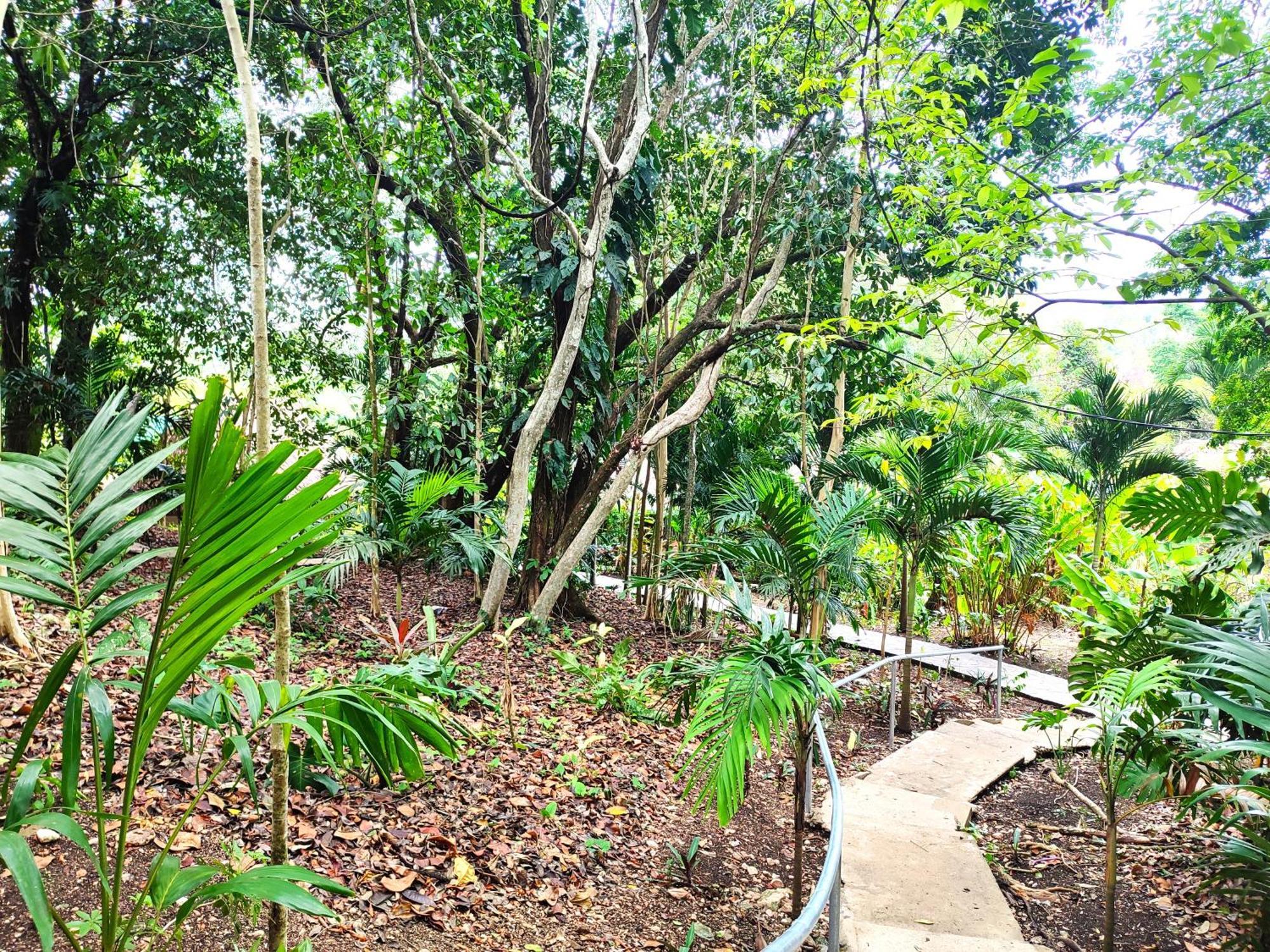 Maya Mountain Lodge San Ignacio Εξωτερικό φωτογραφία