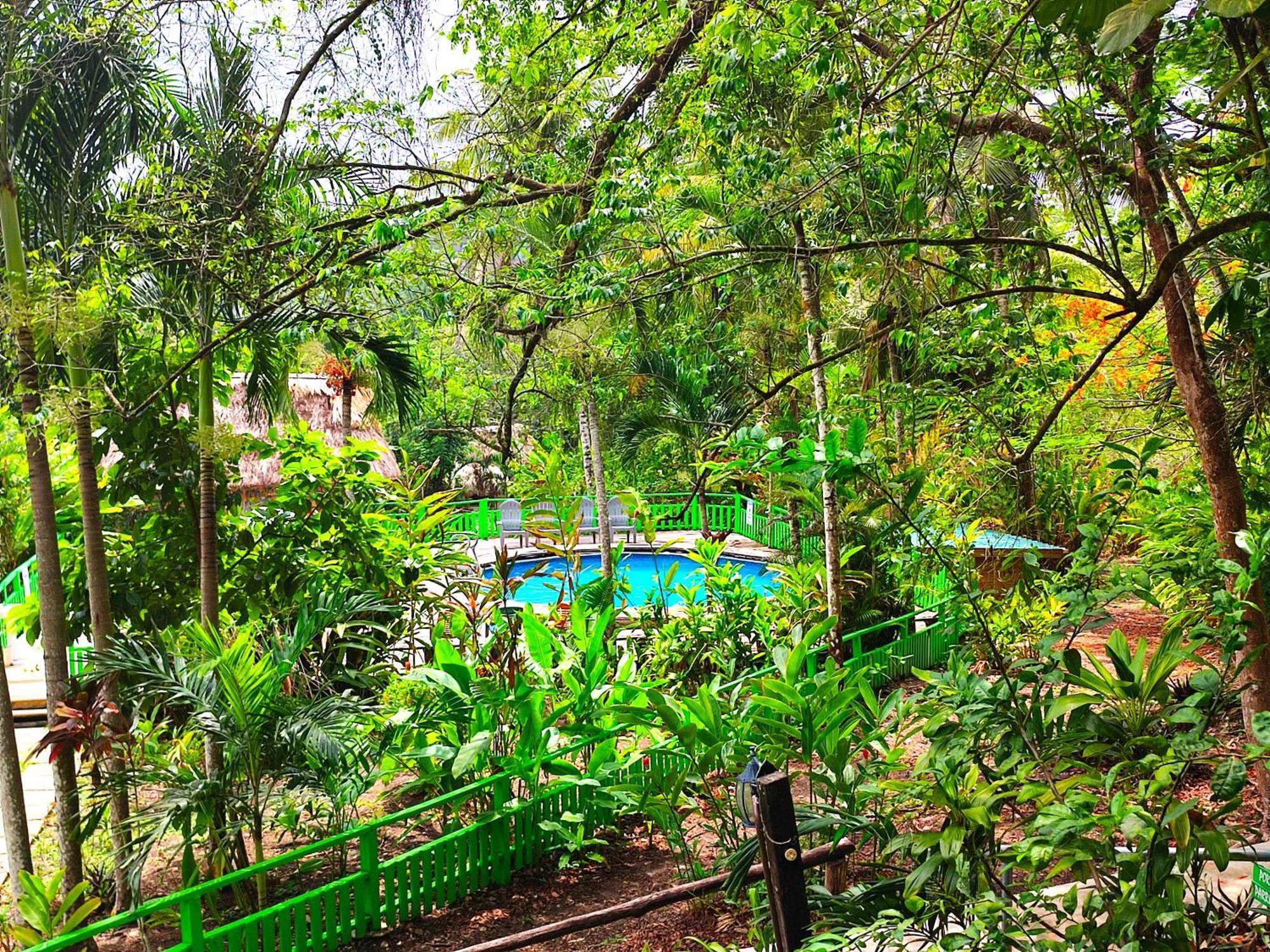 Maya Mountain Lodge San Ignacio Εξωτερικό φωτογραφία