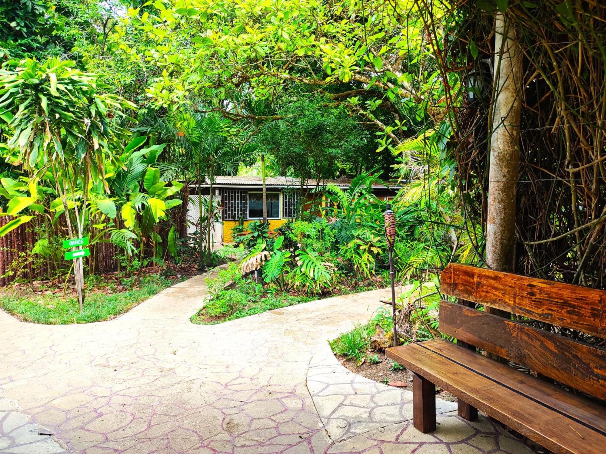 Maya Mountain Lodge San Ignacio Εξωτερικό φωτογραφία