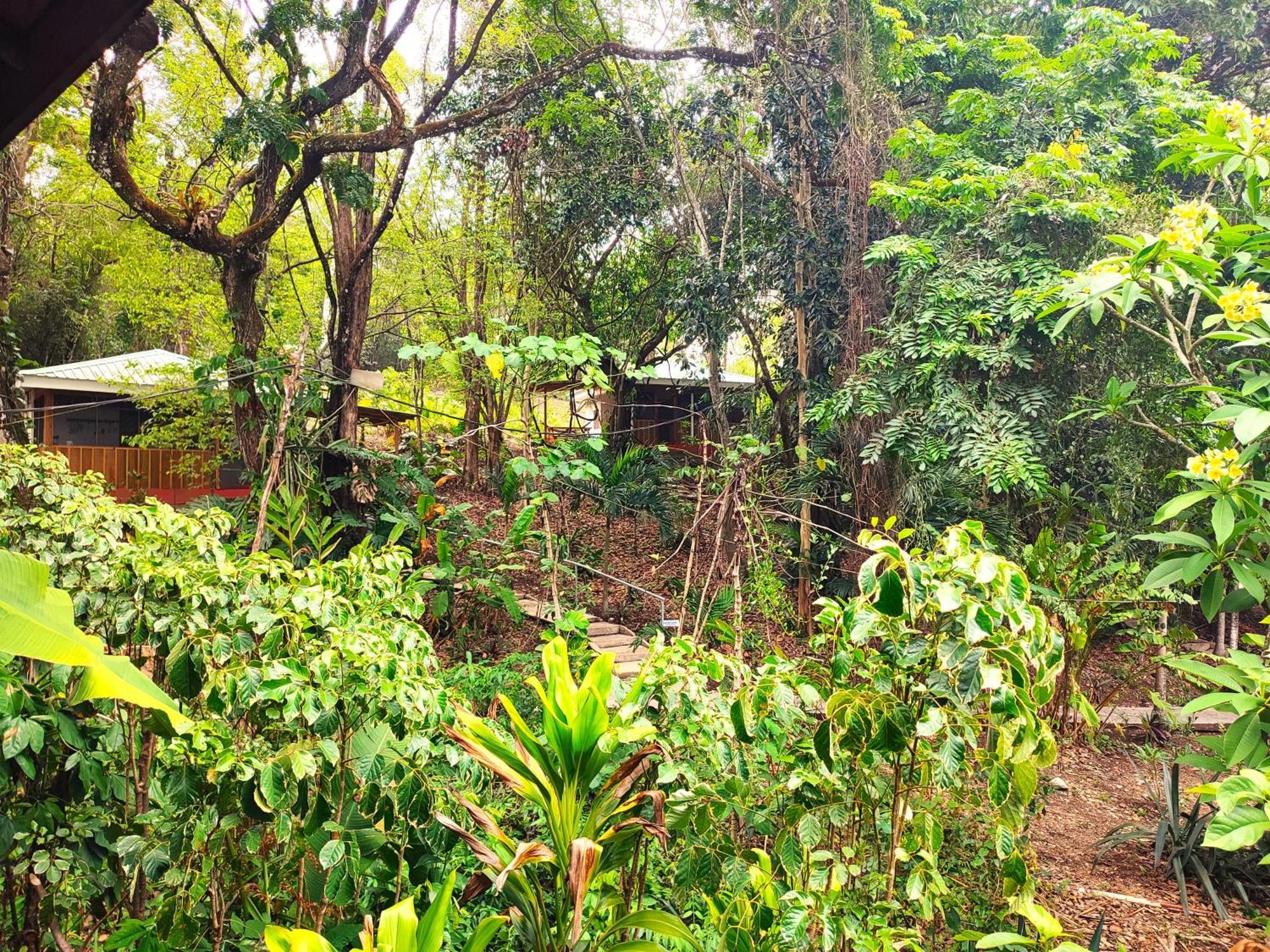 Maya Mountain Lodge San Ignacio Εξωτερικό φωτογραφία